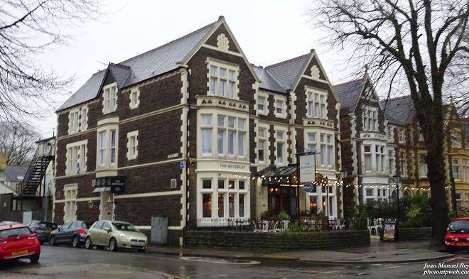 The beverley
