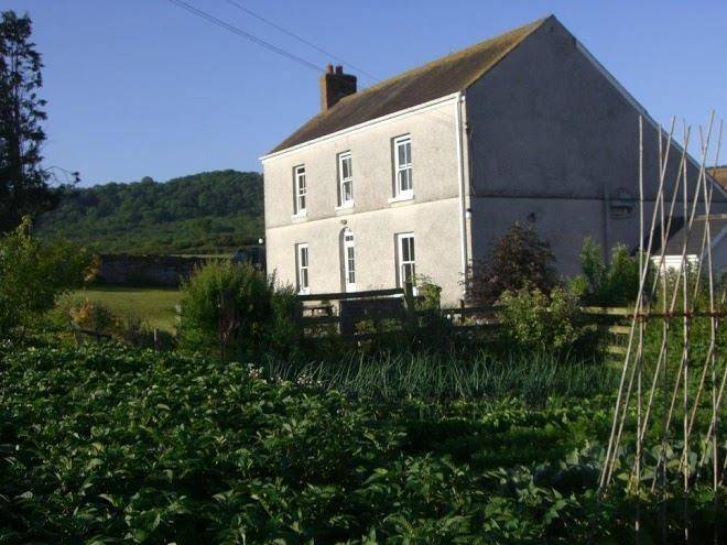 Glanyrynys farm