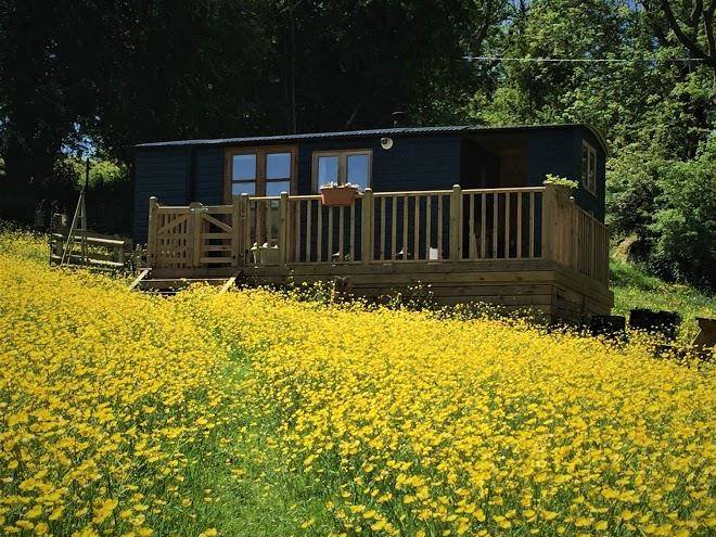 Ffynnon beuno ltd