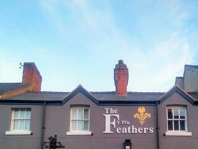 The feathers y plu