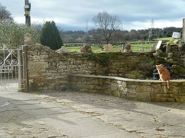 Oakenholt farm