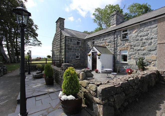 Llwyn mafon isaf