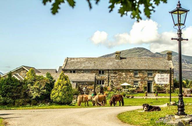 Tyddyn du farm luxury suites