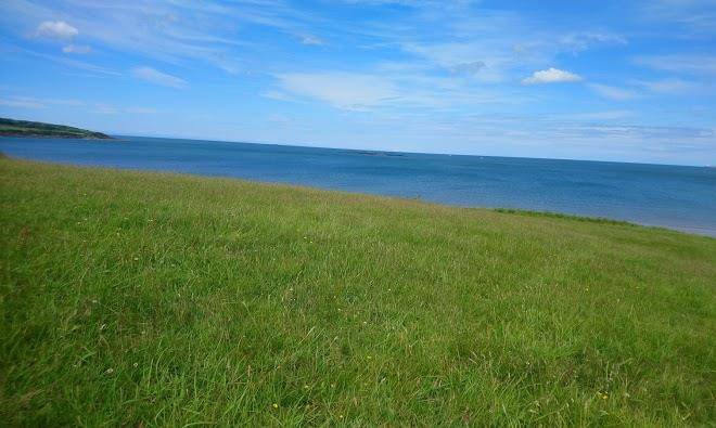 Llys dulas country estate
