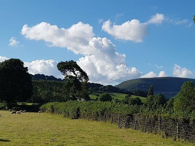 Lower stanton farm