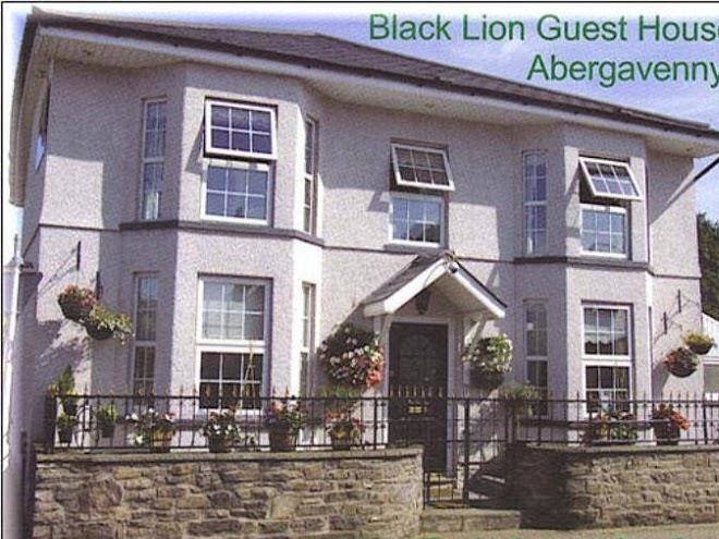The black lion