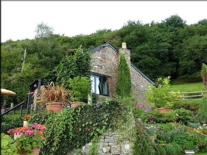 Tyn y bryn