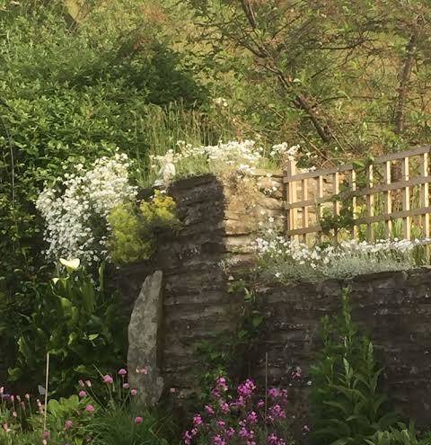 Highbury garden suite b&b