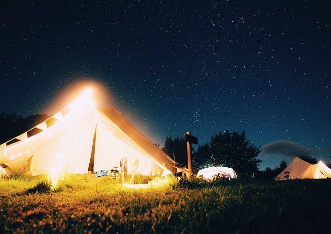 Top of the woods