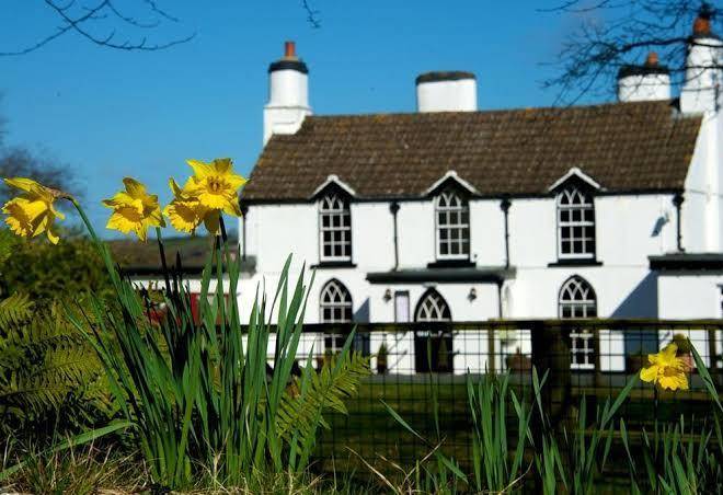 Tudor lodge jameston