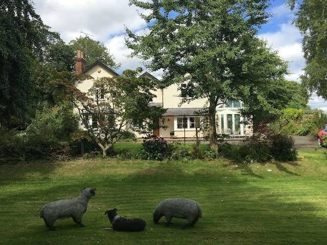 Bron hafren bed and breakfast