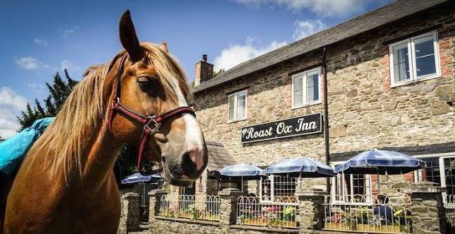 Roast ox inn