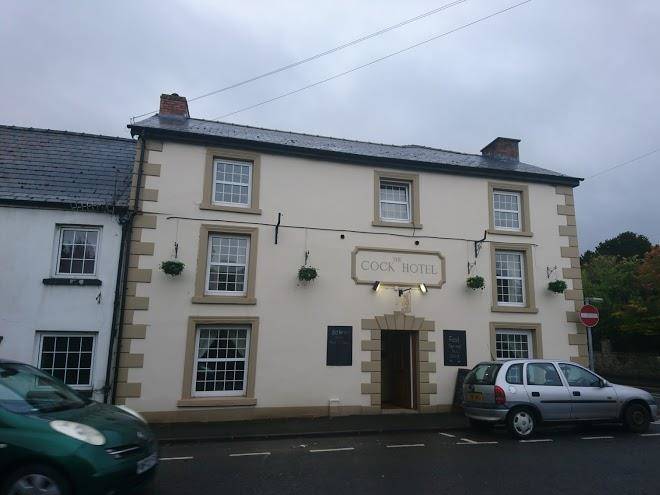 The cock hotel