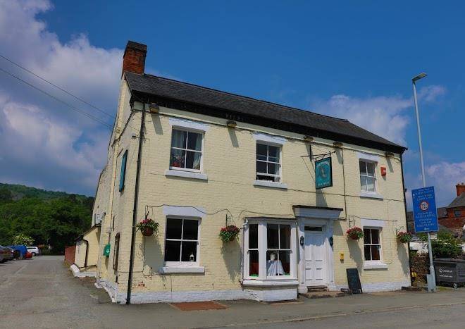 The dolphin