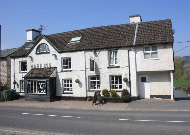 The harp inn