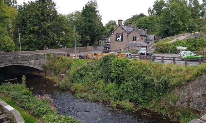 The white hart
