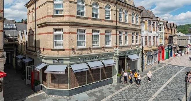 Blueberry Hotel Image