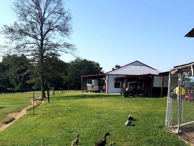 Caddo equestrian