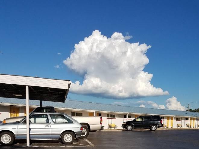 Bob white motel