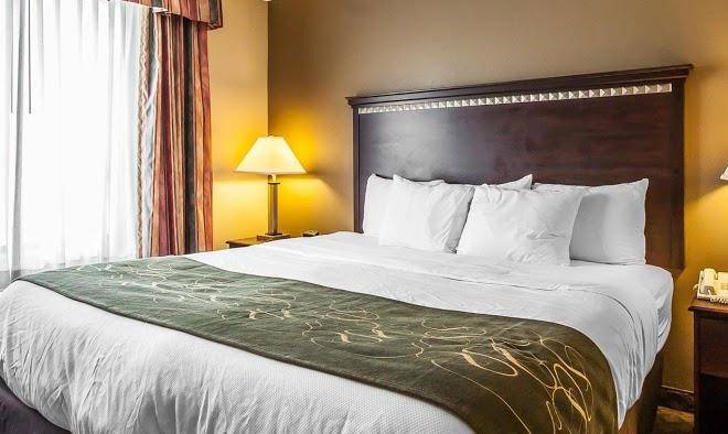 Comfort suites tuscaloosa near university