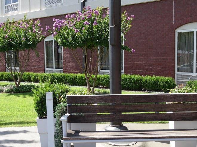 Holiday inn express & suites tuscaloosa university
