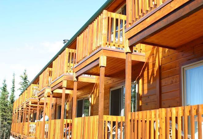 Denali grizzly bear resort