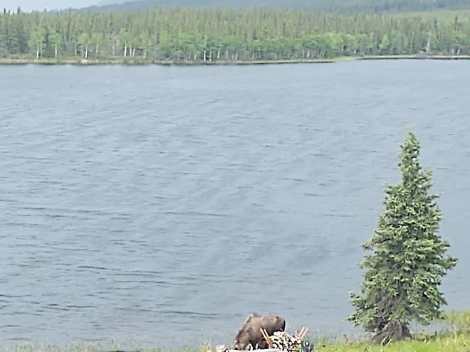 Denali lakeview inn