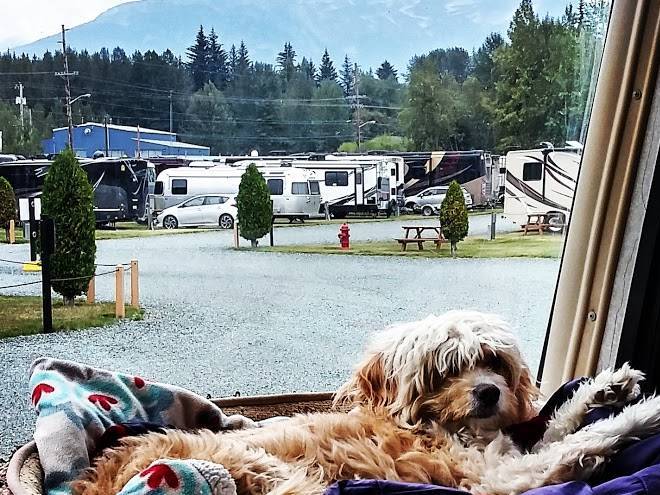 Haines hitch up rv park
