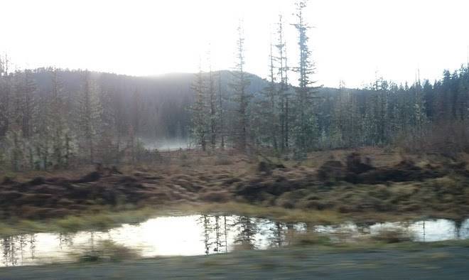 Auke bay rv park