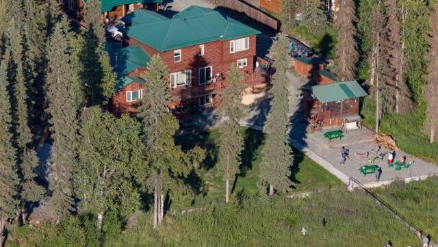 Arctic wolf lodge