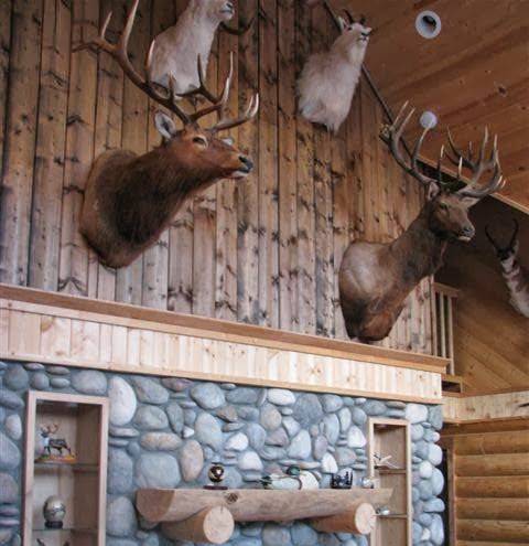 Drakes on the kenai