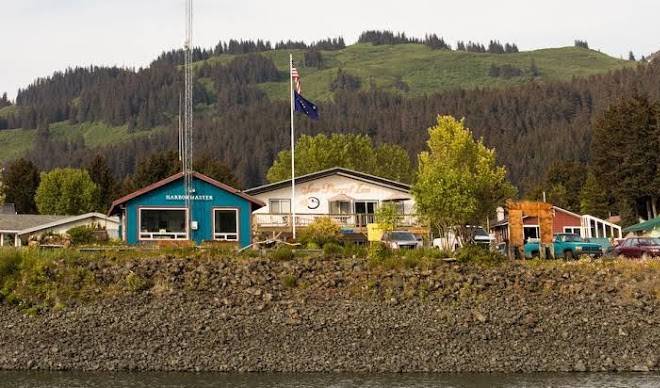 Sea parrot inn