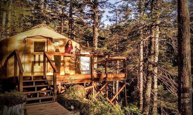 Shearwater Cove Image