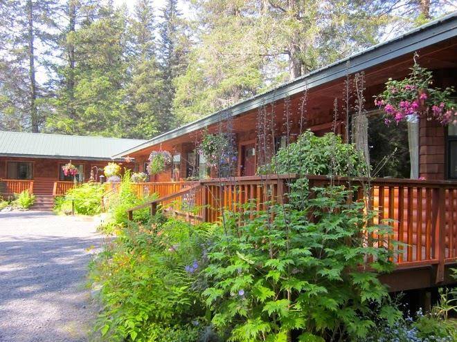 Steller inn