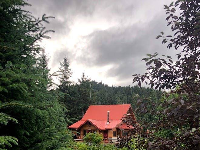 Tutka bay lodge