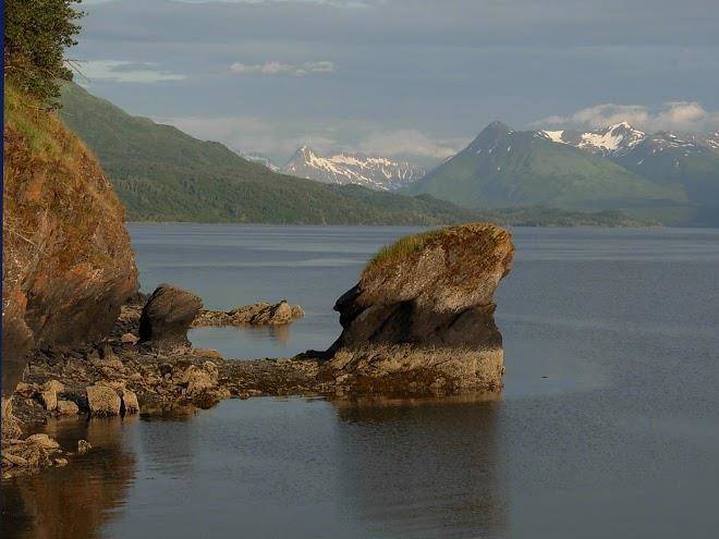 Kodiak treks