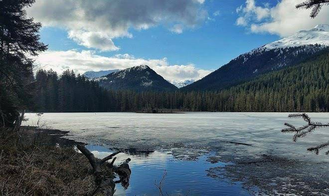 Salmon Lake Cabin Sitka Image