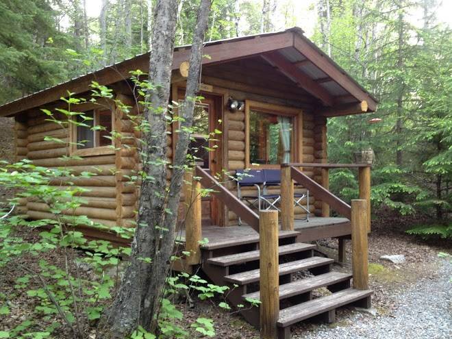 The Swaying Spruce Image