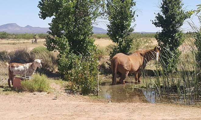 River ridge guest ranch