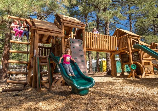Flagstaff koa