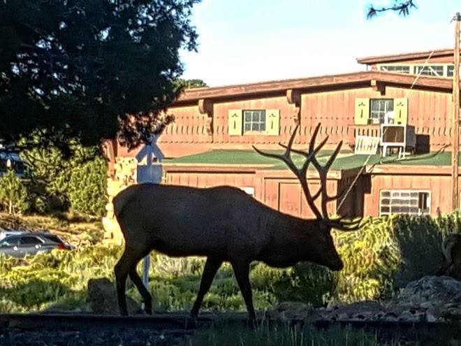 Grand canyon national park lodges
