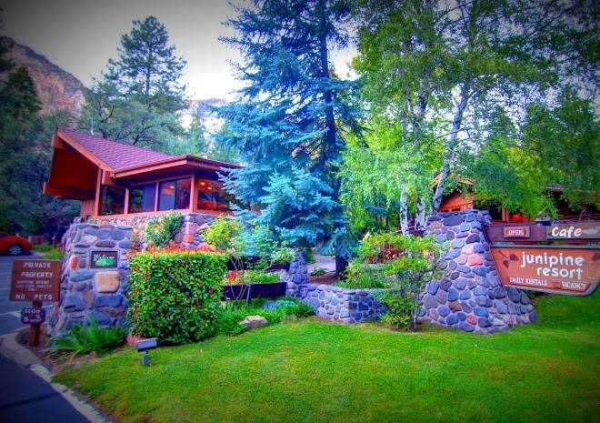 Junipine resort