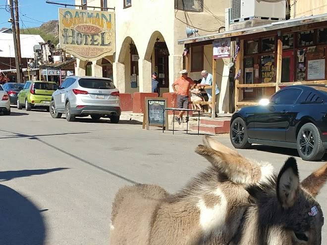 Oatman hotel restaurant & saloon