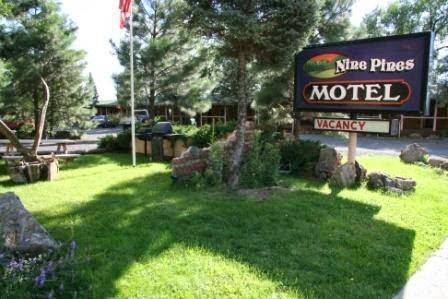 Nine pines motel