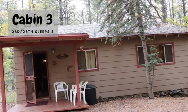 Northwoods cabins