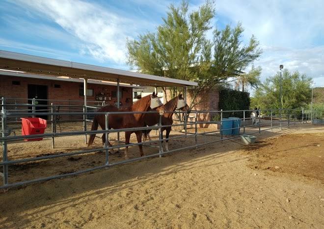 Rocking m ranch