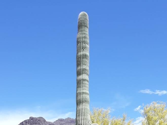 Apache junction motel