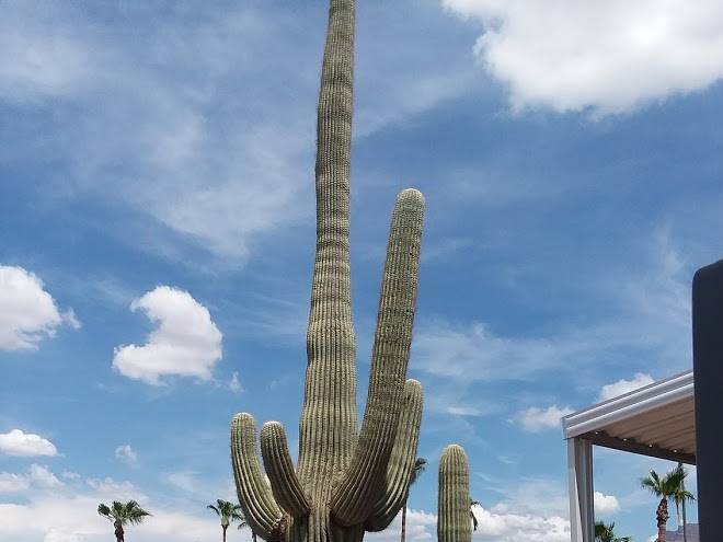 Mesa apache junction koa journey