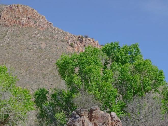 Circle z ranch