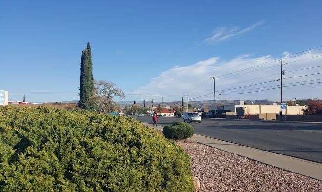 Little daisy motel
